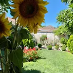 Casa Jardin El Arco * Кока