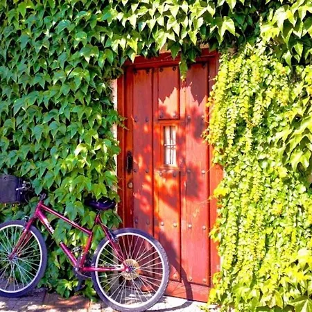 Holiday home Casa Jardin El Arco