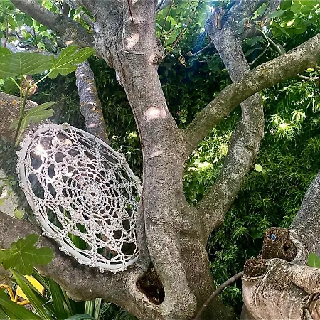 Casa Jardin El Arco Ferienhaus Coca