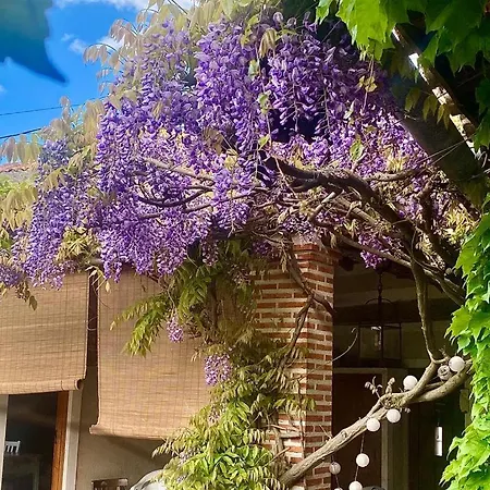 Дом отдыха Casa Jardin El Arco