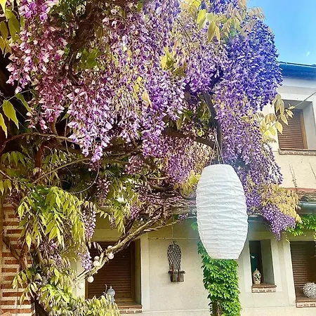 Casa Jardin El Arco * Coca