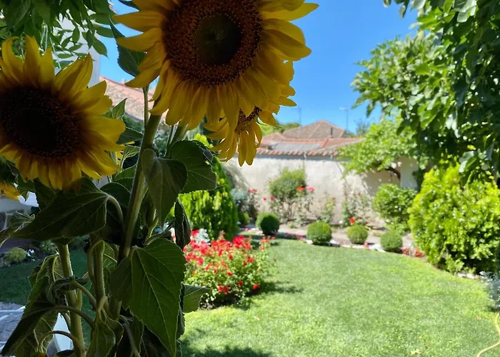 Casa Jardin El Arco * Кока