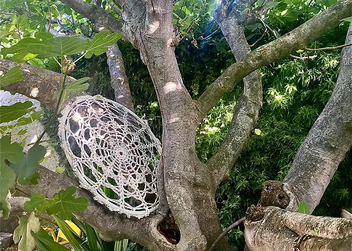 Casa Jardin El Arco Hébergement de vacances Coca