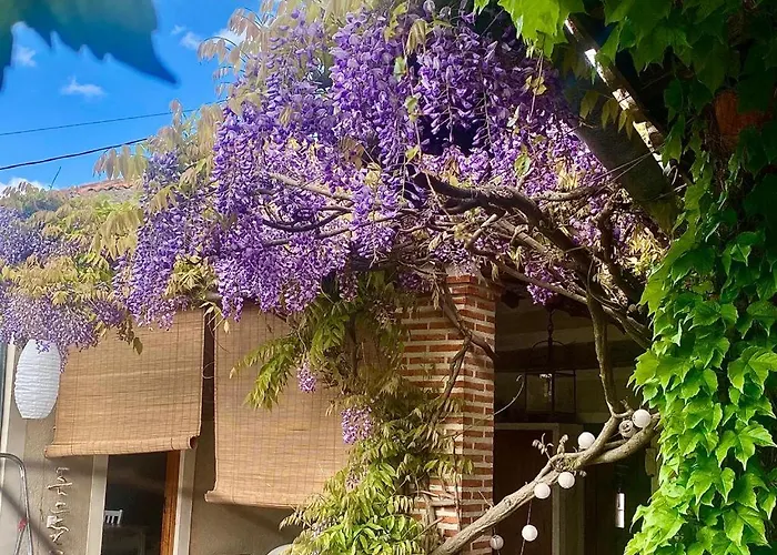 Дом отдыха Casa Jardin El Arco